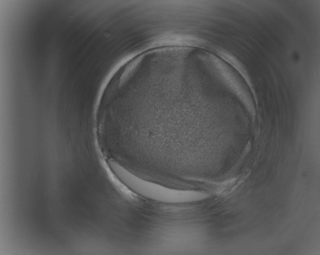 X0000067461152200604211534