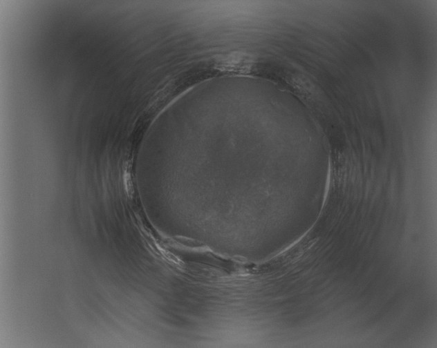 X0000067461154200604211533