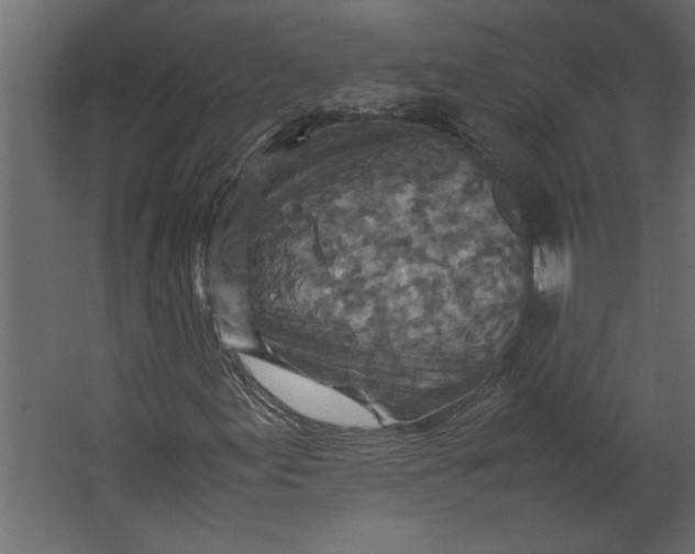 X0000067461155200604211533