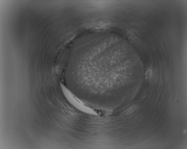 X0000067461156200604211533