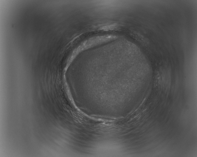 X0000067461158200604211533