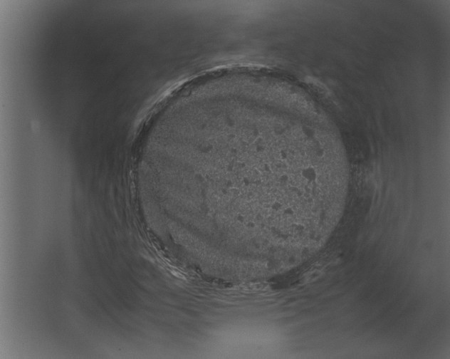 X0000067461159200604211533