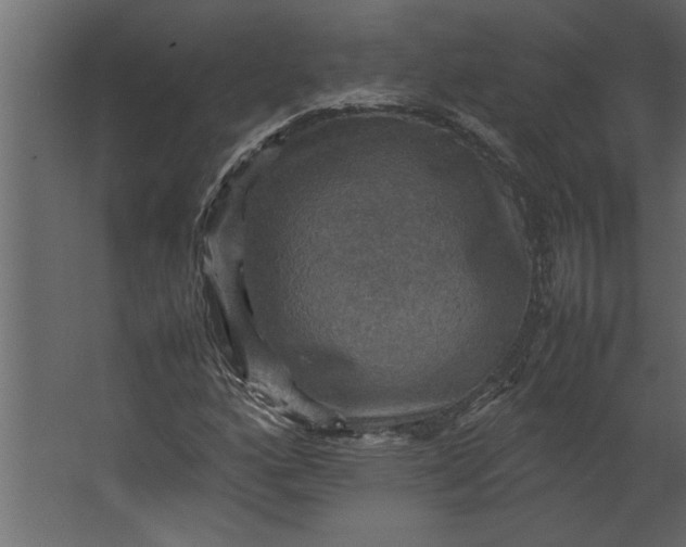 X0000067461160200604211533