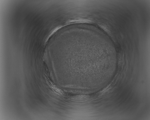 X0000067461163200604211533