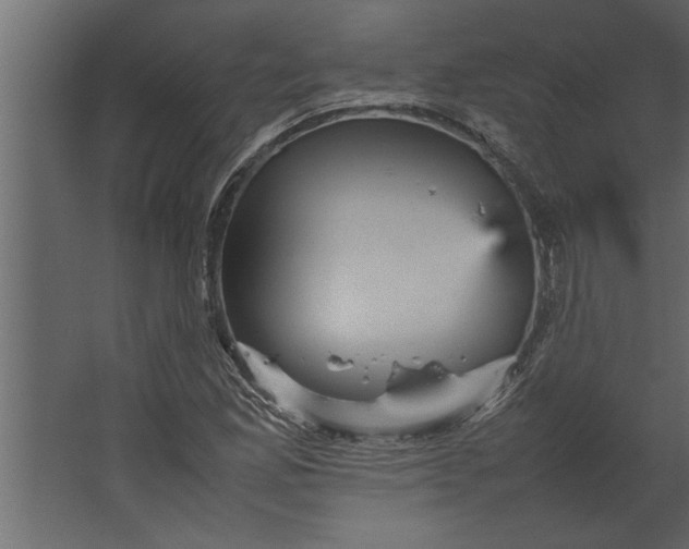 X0000067461165200604211533