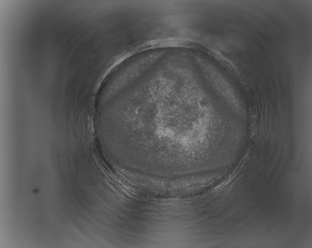 X0000067461166200604211533