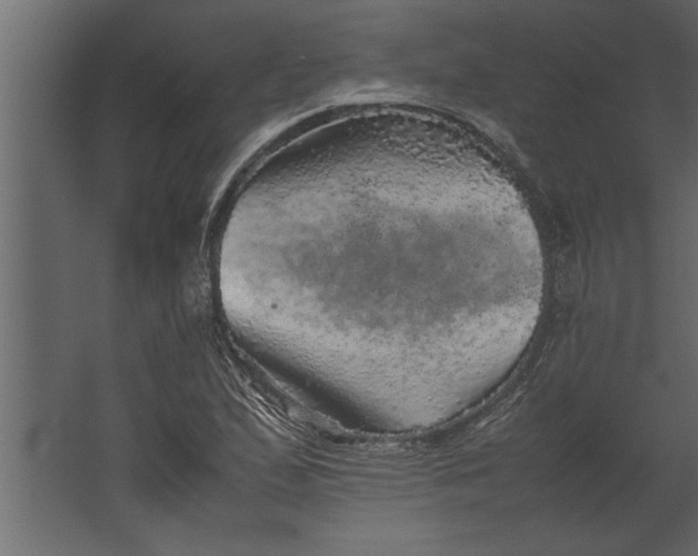 X0000067461167200604211533