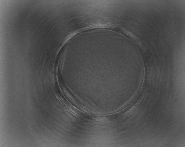 X0000067461170200604211533