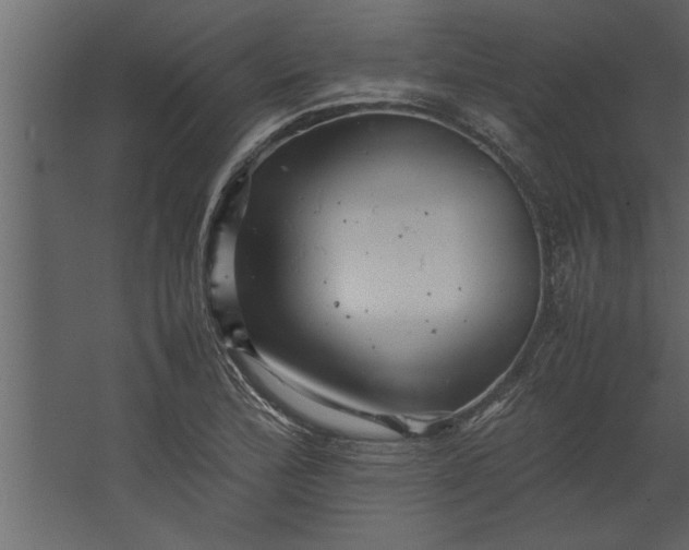 X0000067461172200604211533