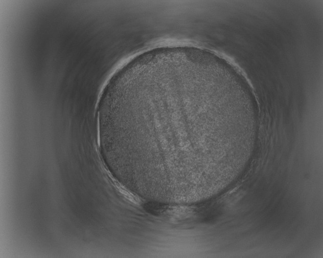 X0000067461175200604211533