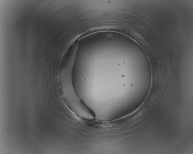 X0000067461177200604211533