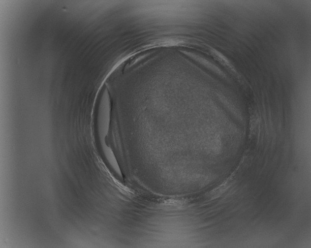 X0000067461178200604211533