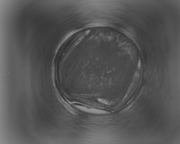 X0000067461179200604211533