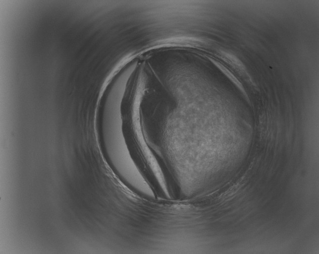 X0000067461180200604211533