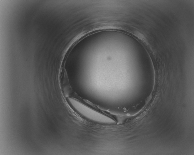 X0000067461181200604211533