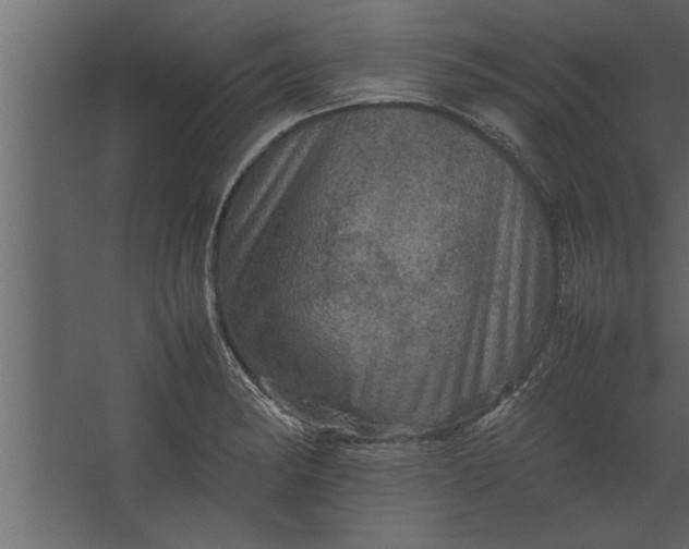 X0000067461182200604211533