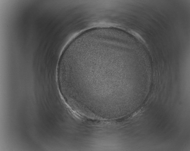 X0000067461183200604211533