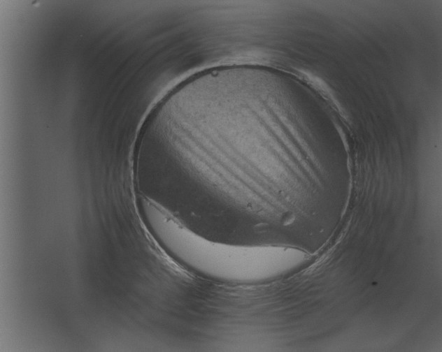 X0000067461184200604211533