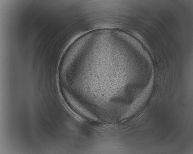 X0000067461187200604211533