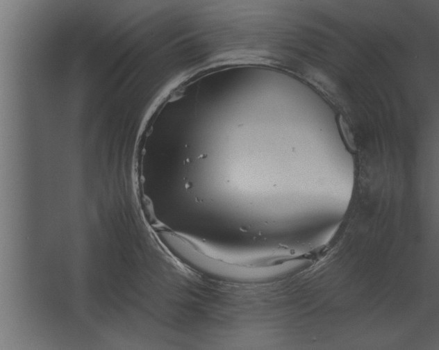 X0000067461188200604211533