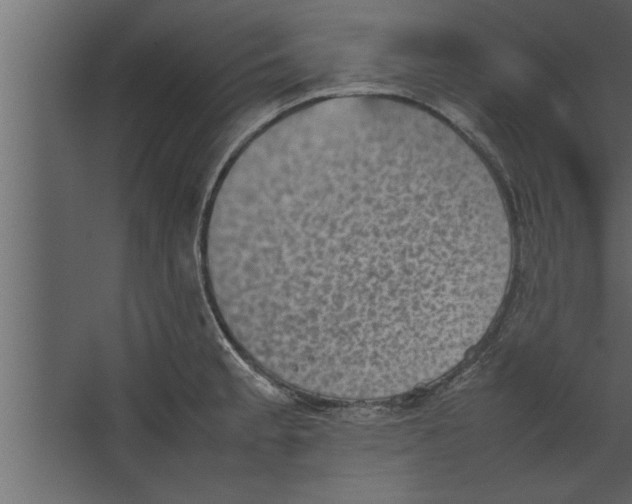 X0000067461189200604211533