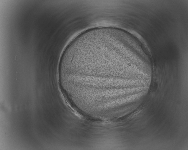 X0000067461191200604211533