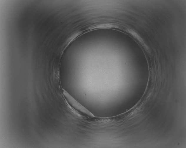 X0000067461193200604211533