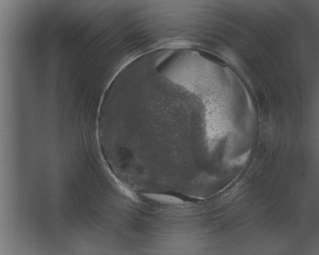 X0000067461194200604211533