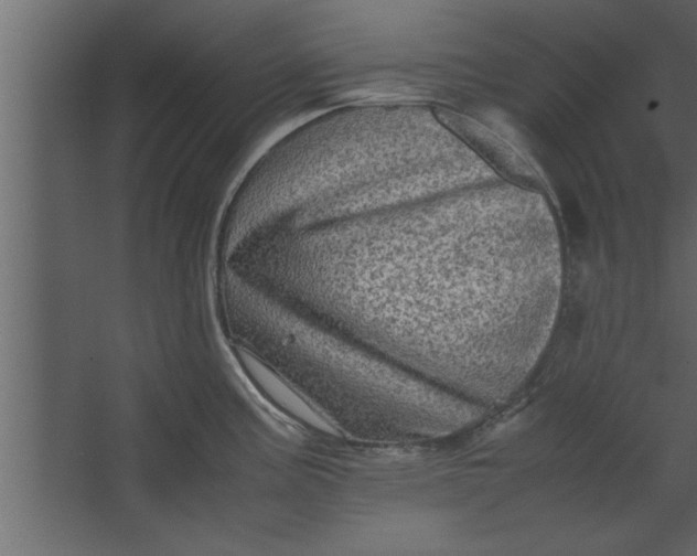 X0000067461195200604211533