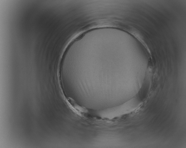 X0000067461197200604211533