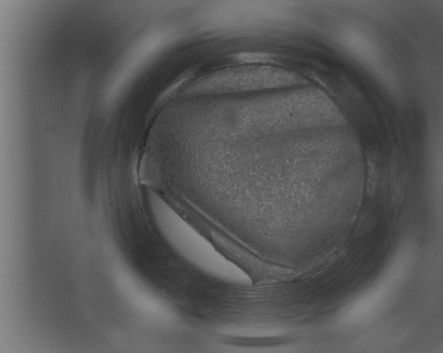 X0000067461198200604211533