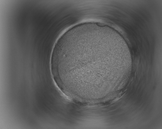 X0000067461199200604211533