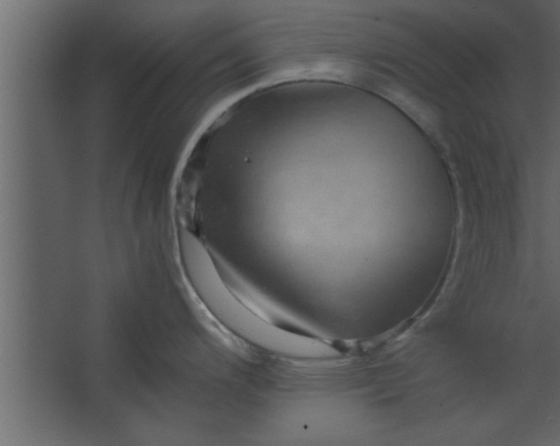 X0000067461200200604211533