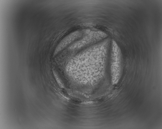 X0000067461201200604211532