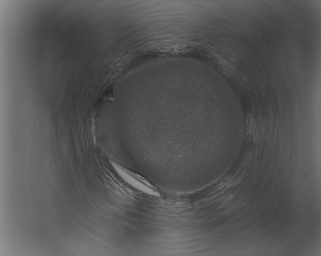 X0000067461202200604211532