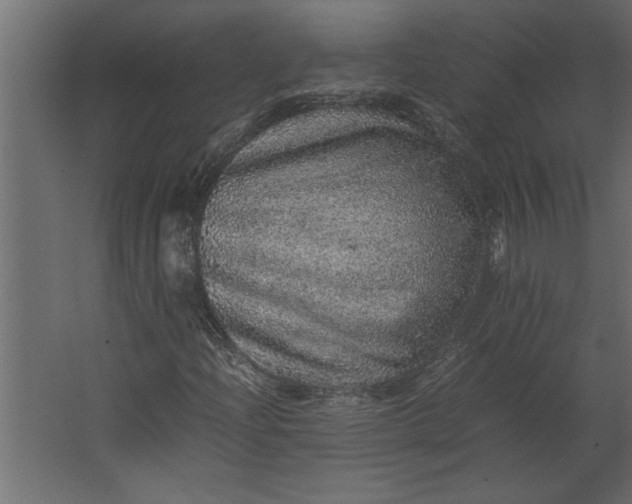 X0000067461204200604211532