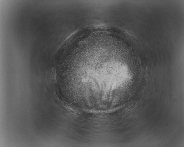 X0000067461205200604211532