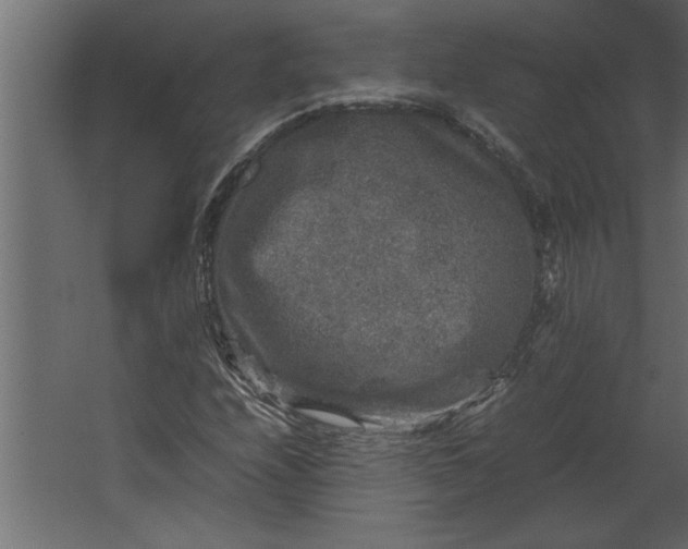 X0000067461208200604211532