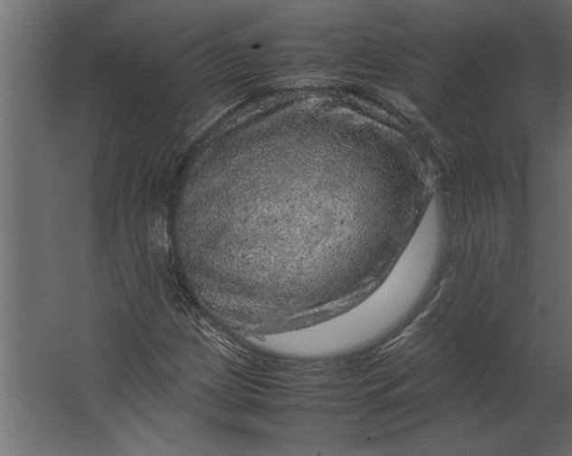 X0000067461209200604211532