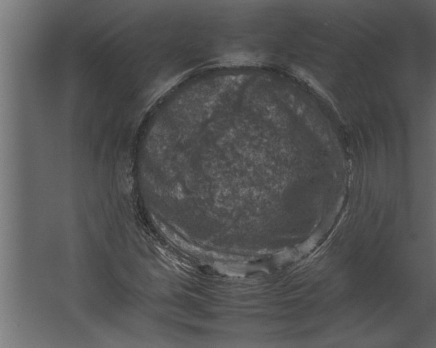 X0000067461213200604211532