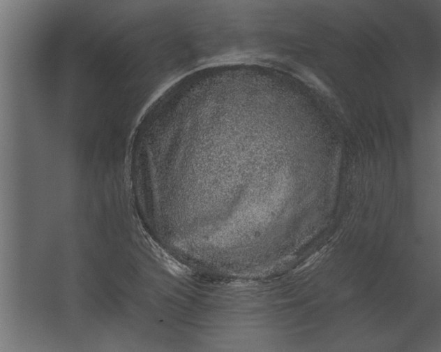 X0000067461216200604211532