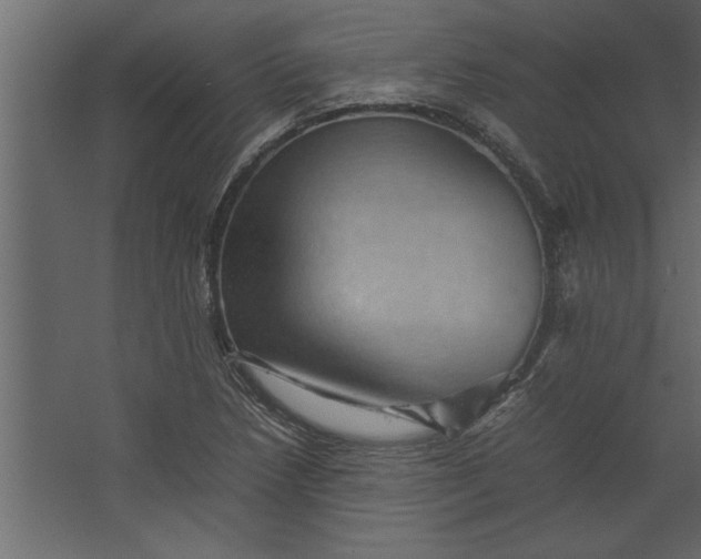 X0000067461218200604211532