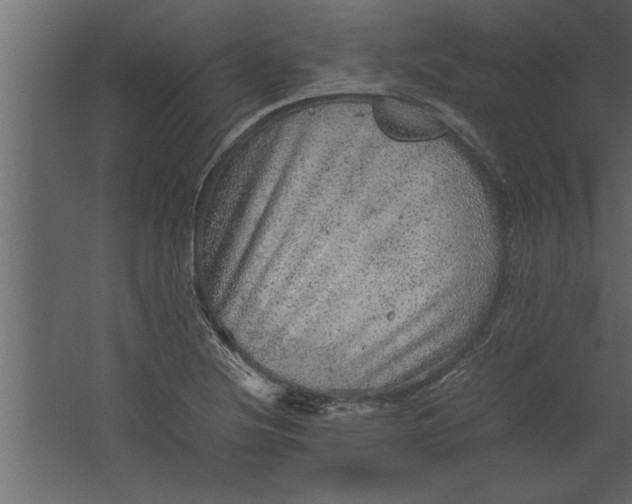 X0000067461220200604211532