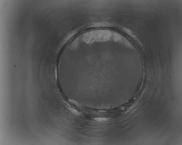 X0000067461221200604211532