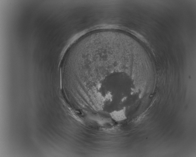 X0000067461223200604211532