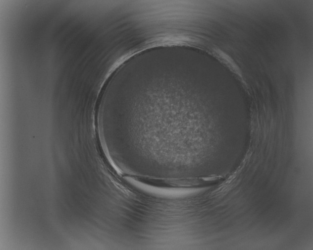 X0000067461226200604211532