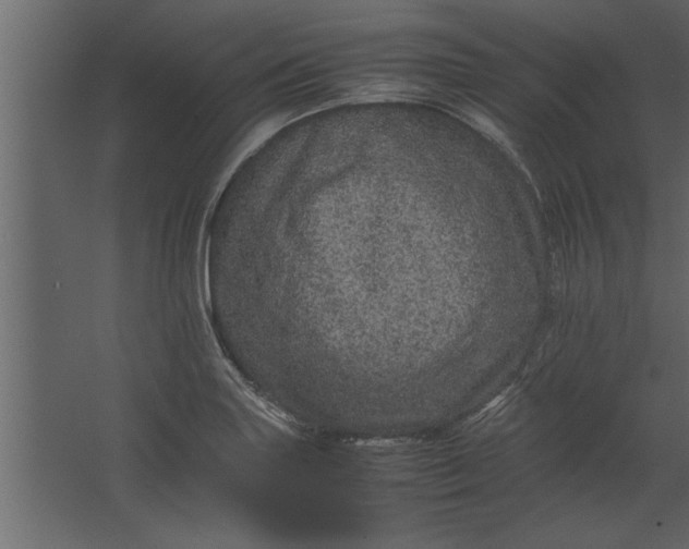 X0000067461227200604211532