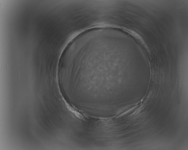 X0000067461231200604211532