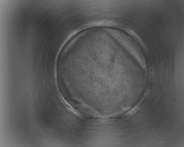 X0000067461232200604211532