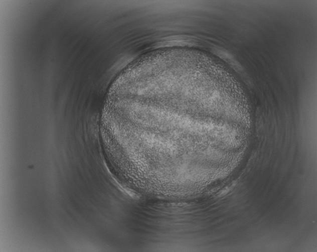 X0000067461233200604211532